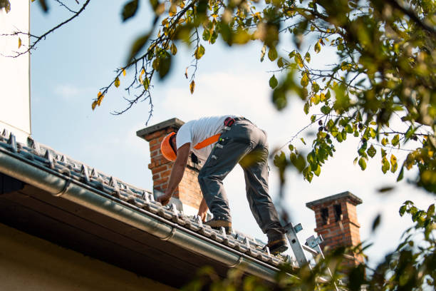 Roof Coating Services in Tatamy, PA