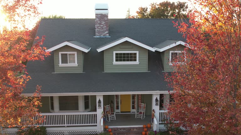 Best Skylight Installation and Repair  in Tatamy, PA