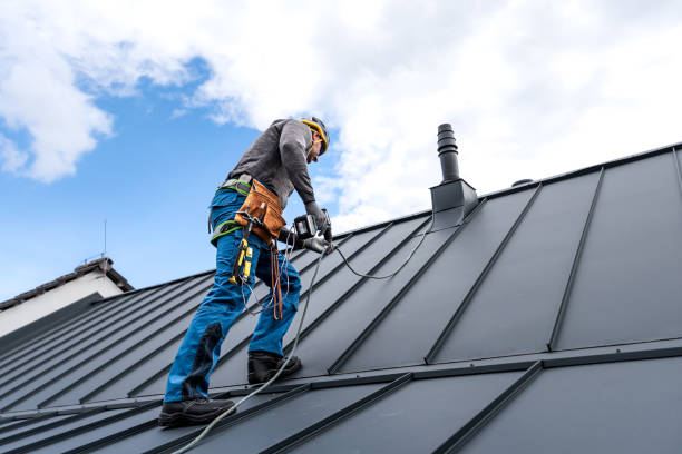 Best Roof Maintenance and Cleaning  in Tatamy, PA